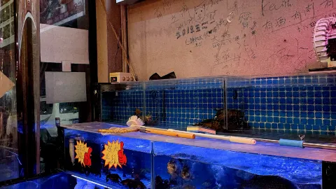 锡纸烤一切(燕郊店) in 三河