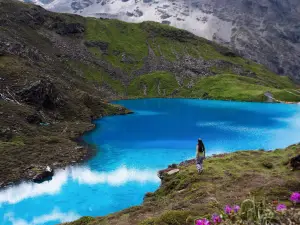 gu ru la cuo