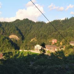 一山树屋咖啡营地 User Photo