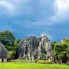 菌齐彩菇 User Photo