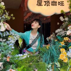 屋頂咖啡·日落甜茶·雪山花園 ·bistro張用戶圖片