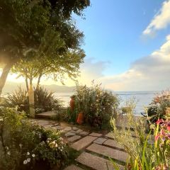 湖山云隐·英式海景花园度假庄园（双廊洱海店）·Gezellig花园海景餐厅 User Photo