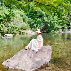 Laotaipo Restaurant (zhaoxia) User Photo