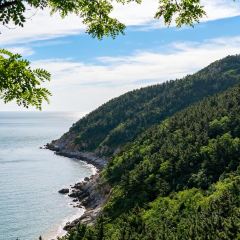 东升灌浆包(辛庄街总店) User Photo