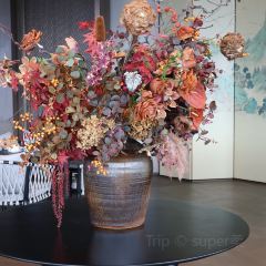 桂林漓江·瀑上酒店(象鼻山两江四湖店)·观星吧 User Photo