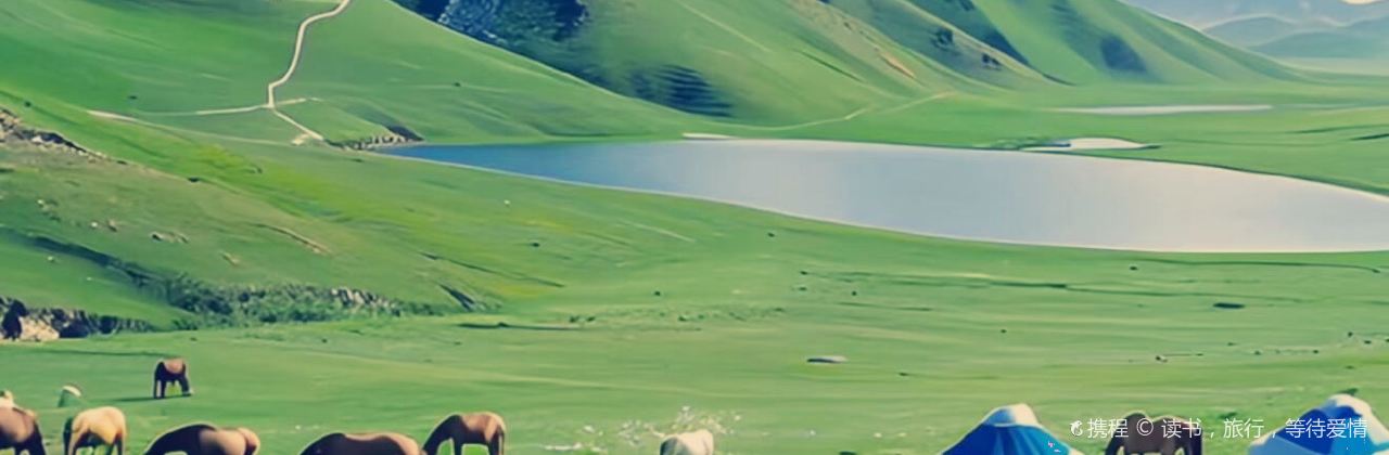 粘豆包铁锅炖(温泉街店)