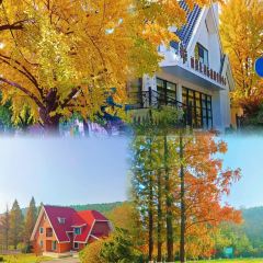 喜鼎海胆水饺(星海湾壹号店) User Photo