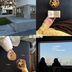 Bar Lotus User Photo