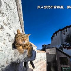 Meiweirouhuimi Restaurant User Photo