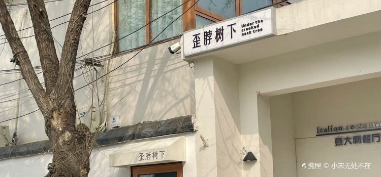 歪脖树下