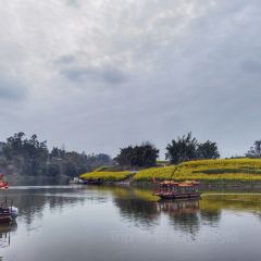 徐大姐家常菜 User Photo