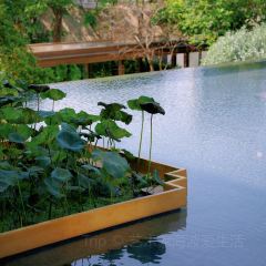 Tea Lounge at Capella Bangkok User Photo