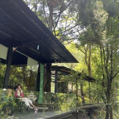 鸟鸣涧森林餐厅·野生菌–自然之味 User Photo