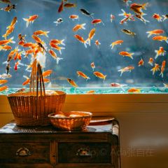 金魚餐廳及酒吧 (Golden Fish Restaurant & Bar)張用戶圖片
