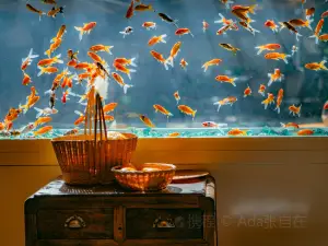 金魚餐廳及酒吧 (Golden Fish Restaurant & Bar)