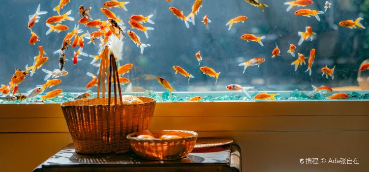 金魚餐廳及酒吧 (Golden Fish Restaurant & Bar)