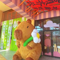 嘉兴开元森泊度假酒店·森灵岩洞餐厅 User Photo