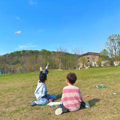 嘉兴开元森泊度假酒店·森灵岩洞餐厅 User Photo