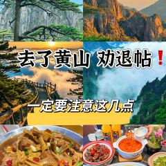 Laohuizhouchouguiyu User Photo