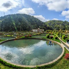 猫屎咖啡(天全服务区店) User Photo