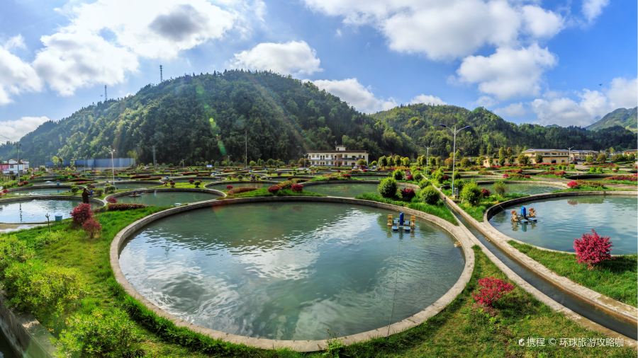 猫屎咖啡(天全服务区店)