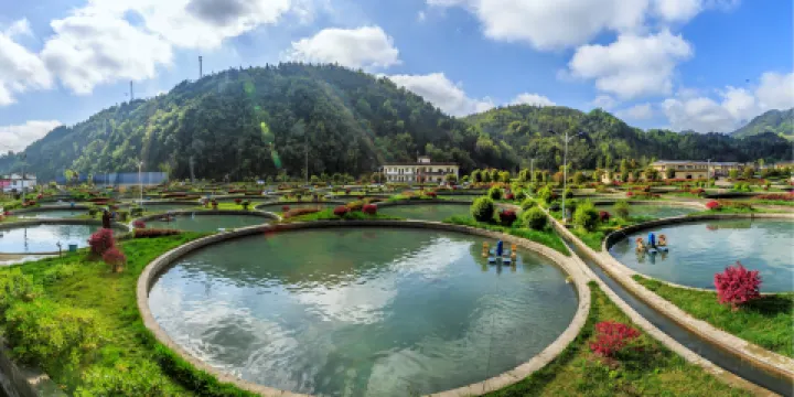 貓屎咖啡（天全店）