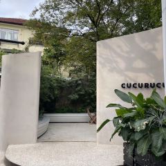 CUCURUCU User Photo