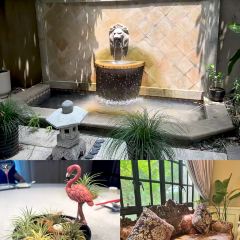 HONGYUXUAN User Photo