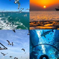 王福禄蓬莱小面 User Photo