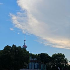 甬府尊鮮(前滩太古里店) User Photo