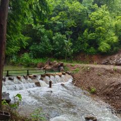 LI DONG NONG ZHUANG User Photo