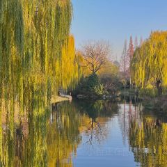 Lxiu Xiao Mang User Photo