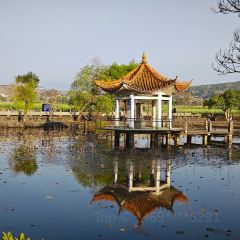 Yunshang Time Hot Spring Resort (Tengchong Heshun Ancient Town Branch) ·YS· Clouds Up · Autumn Cool Cafe (Heshun Ancient Town Branch) User Photo