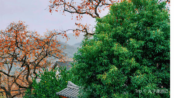 shi li mu ge