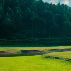 Zhan yi gong shi la zi Chicken (zhan yi) User Photo