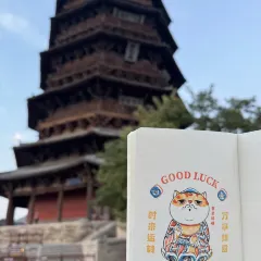 XINJIN TAO User Photo