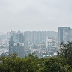 TONG QING LOU 여행 사진