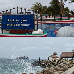 Citron by Lemongrass User Photo