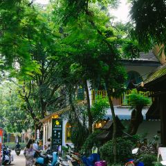 珍菌园·野生菌主题餐厅(告庄店) User Photo