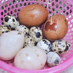 瘦鬼老档糖水铺 User Photo