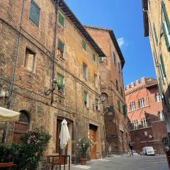 il pomodorino張用戶圖片