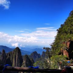莽山天台山美食 User Photo