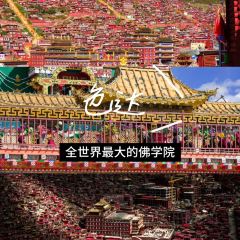 谢老怪牦牛肉馆(马尔康大厦店) User Photo