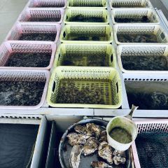 YU XIANG RESTAURANT User Photo