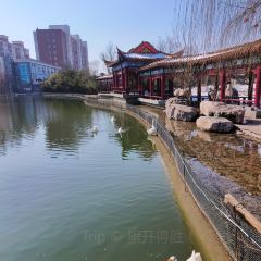 泉上农贸市场 User Photo