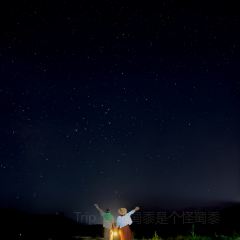 酩悦轩尼诗夏桐酒庄 User Photo