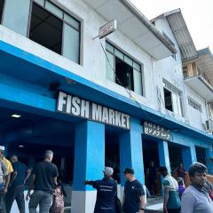 The Manhattan Fish Market User Photo