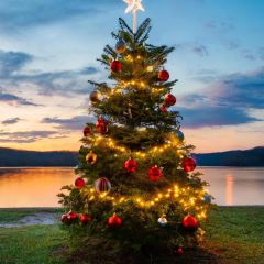 Paula's Pancake House User Photo