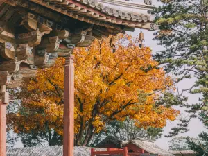 Dule Temple