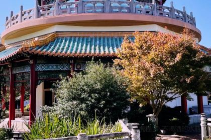 Capt. Groovy's Grill and Raw Bar